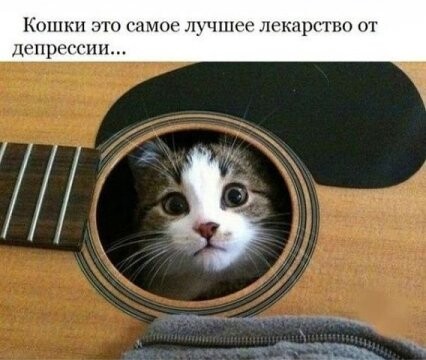 310246992 p 0 360 0.jpg