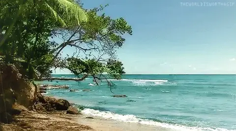 Ласковый Океан.gif