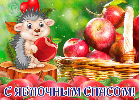 1691978962149 InXRz.gif