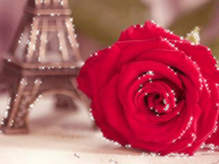 1495771.gif
