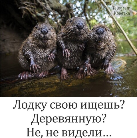 9028dc38-989d-47b6-aa96-a17f7e230bc7.jpg