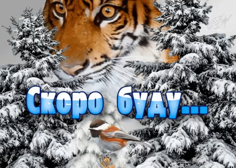 Скоро буду.gif