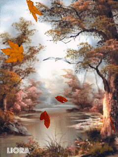 1509733.gif