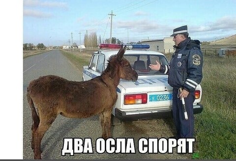 1603727454219 image.jpg