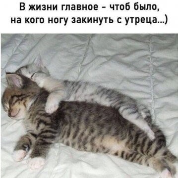 317324133 p 0 360 0.jpg