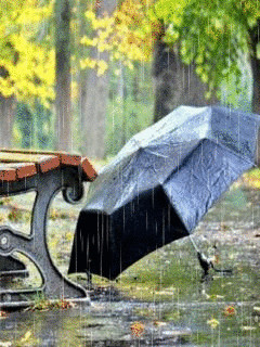 1262262.gif