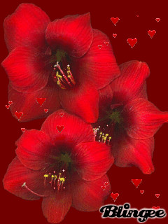 1372706.gif