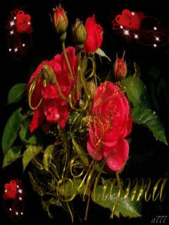 1313346.gif