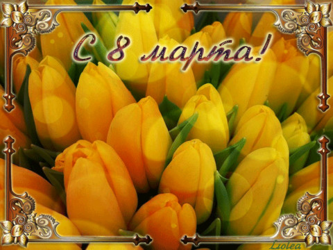 Animatsion-8-Marta-Zheltie-tyulpani.gif