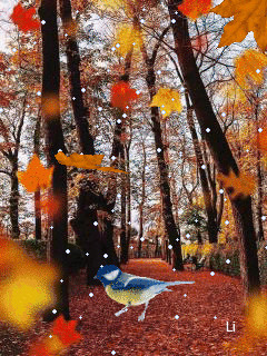 1402630.gif