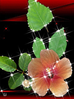 1394111.gif