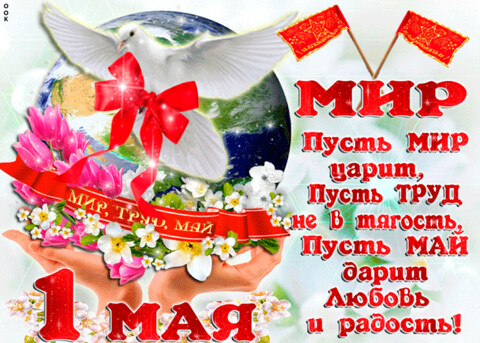 GIF-a1704e3400ebf1c2abbdfb0aff37ae6f.gif