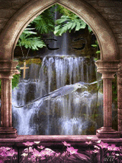 1318785.gif