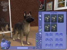 sims2(pets)