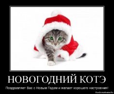 Новогодний котэ...