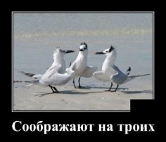 Соображают на троих