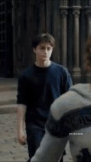 Harry-potter (2)