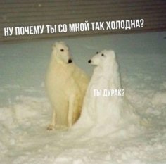 Ты дурак?