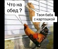 Что на обед