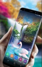 Live Wallpaper Waterfall&amp; Swan 2.2.0.2510 Apkpure