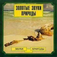 05 Звуки Природы - Морские Птицы