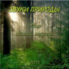 Неизвестный - - Волн морских звучание