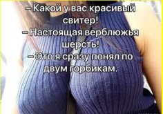 Из верблюжьей шерсти