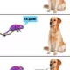 *