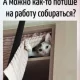 *