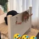 *