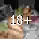 *
