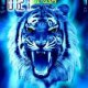 Tiger neon dedyly 0 36