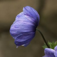Img (37)