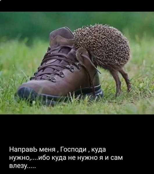 file_103527301