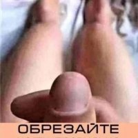 file_103291567
