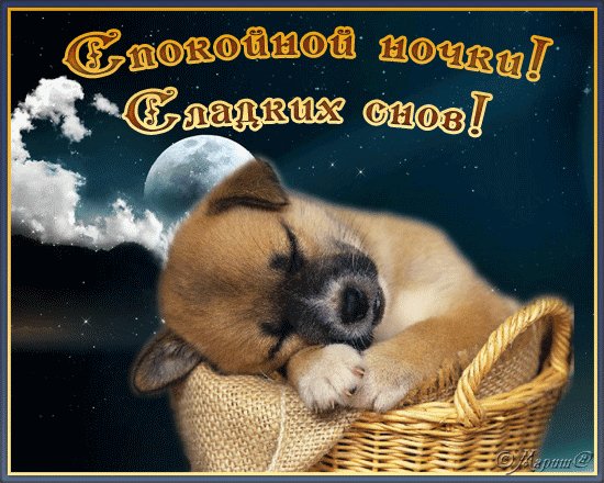 Сладких снов