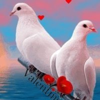 file_44428575