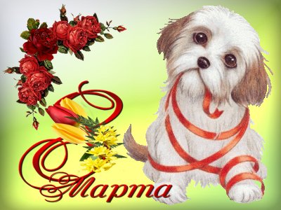 8МАРТА