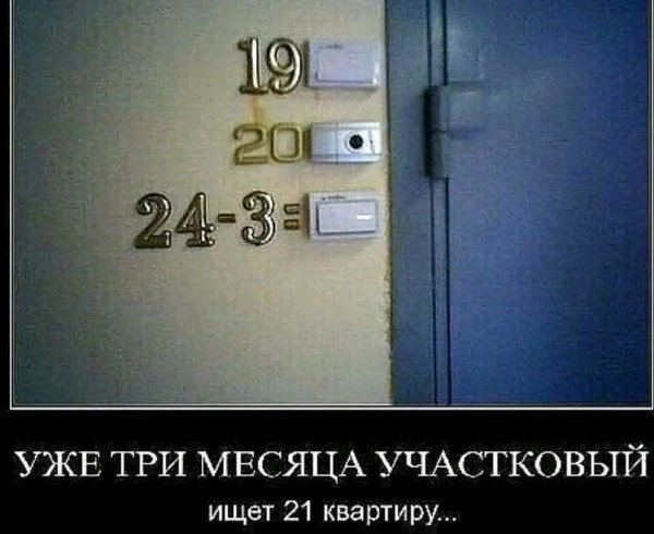 file_103478844