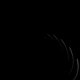 BlackWhiteElm