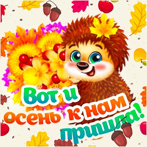 Вот и осень...