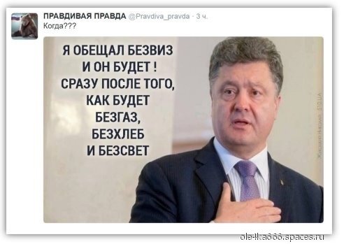 image-