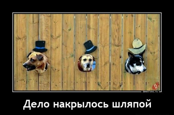 Дело накрылось шляпой