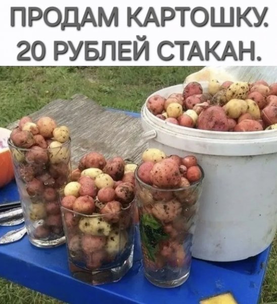 file_103360799