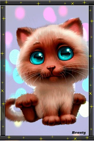 file_74528607