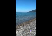 video_109629681