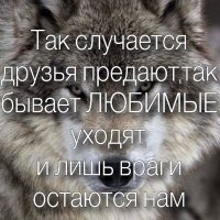 IMG 20200704 233913