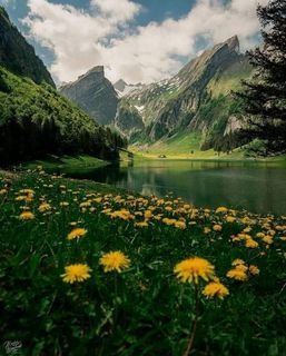 Швейцария