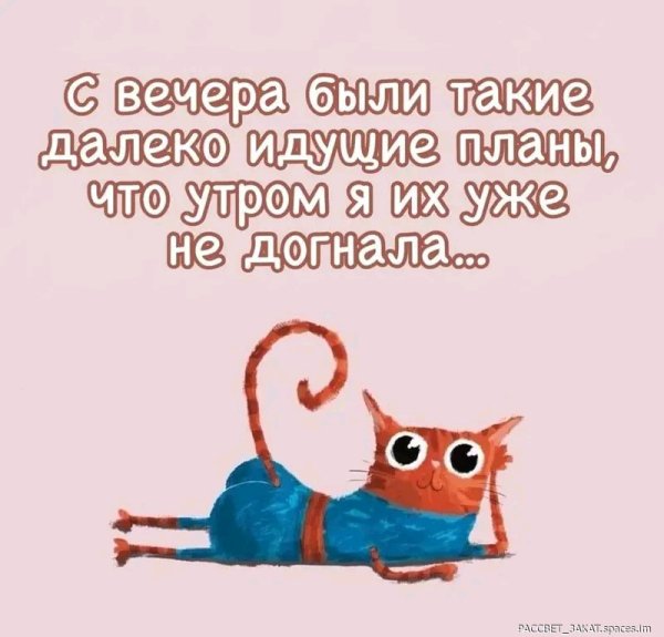 FB IMG 17048851911177017-