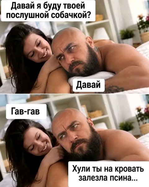 file_103498077